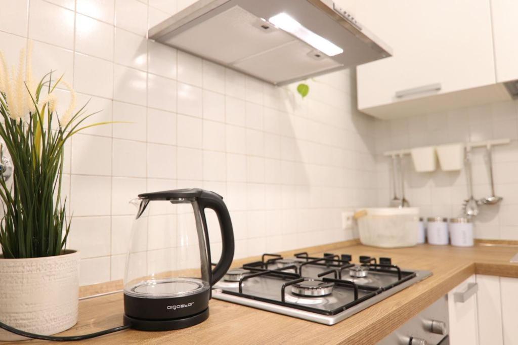 Colosseum 20 Apartment ローマ エクステリア 写真